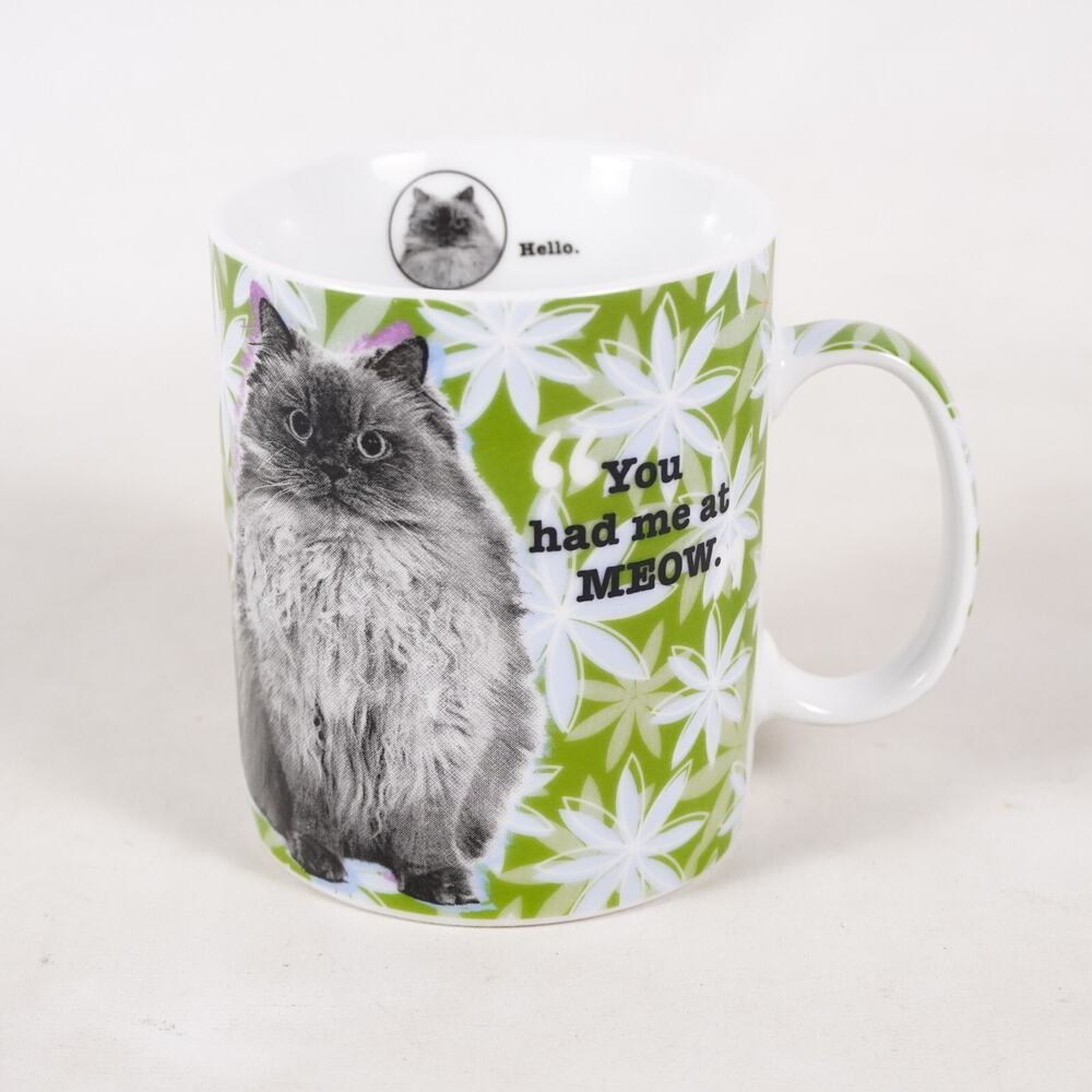 Konitz Feline Classics You Had Me At Meow Kitty Cat Ceramic Coffee Mug Cup Green